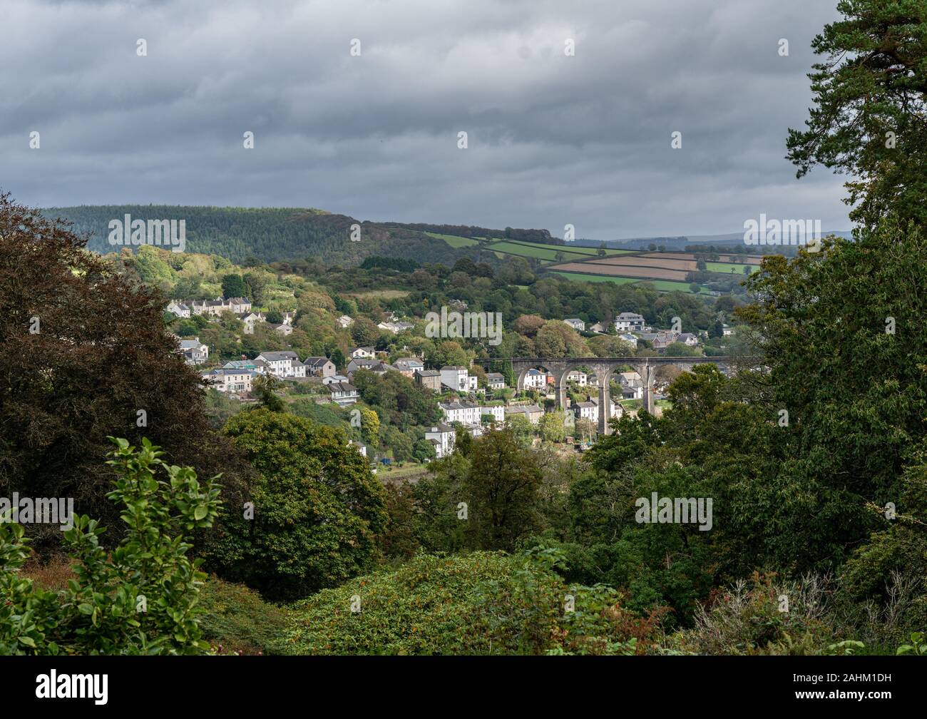 Le viaduc ferroviaire sur la Rivière Tamar par la petite ville de Céret, à la frontière du Devon et Cornwall Banque D'Images