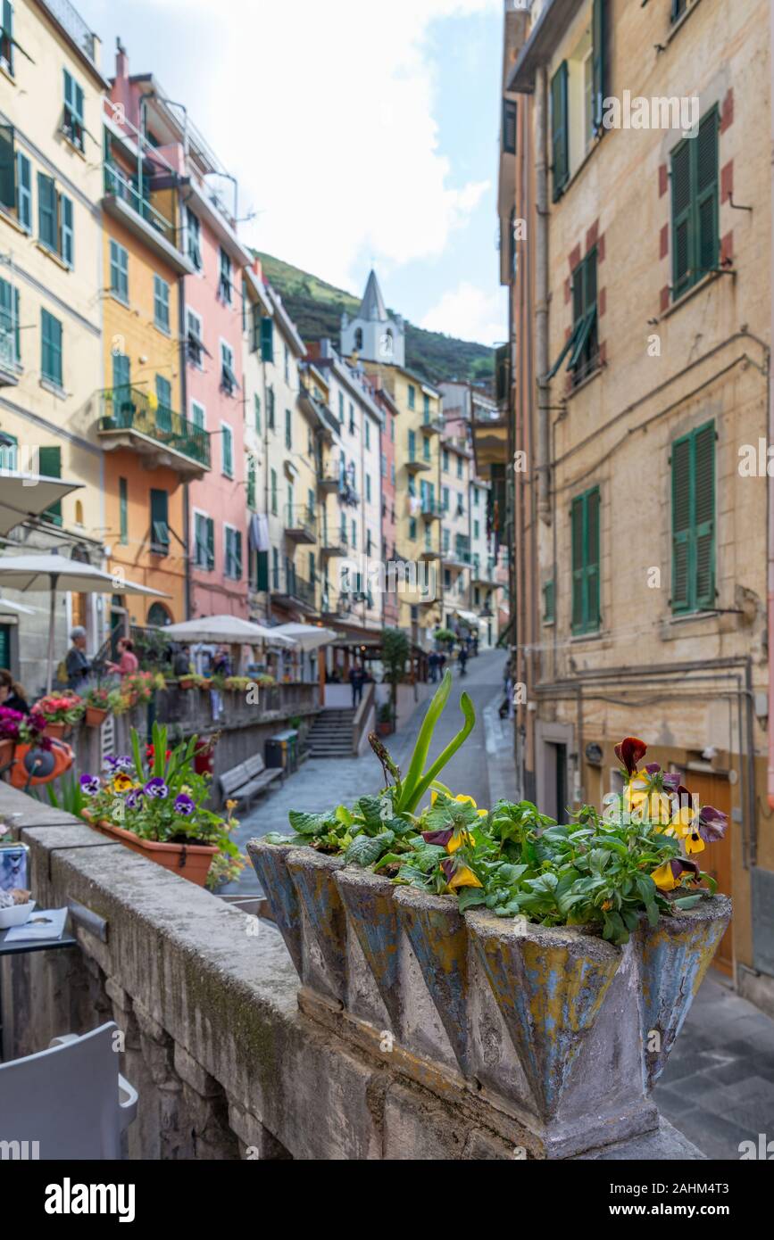 Riomaggiore est rue principale de la zone côtière, Cinque Terre, dans la province La Spezia Banque D'Images