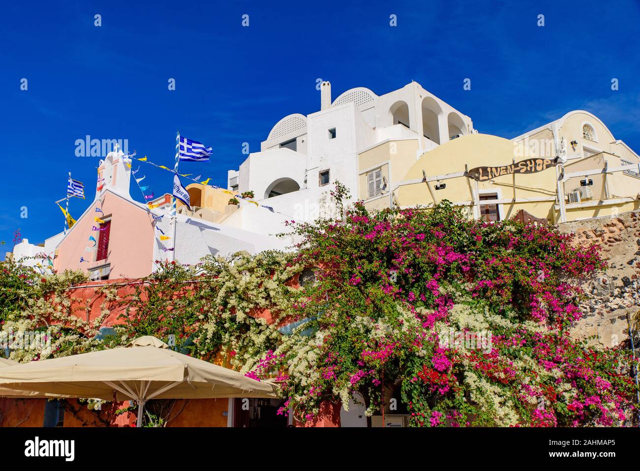 Fleurs de bougainvilliers colorés avec des bâtiments traditionnels à Oia, Santorin, Grèce Banque D'Images