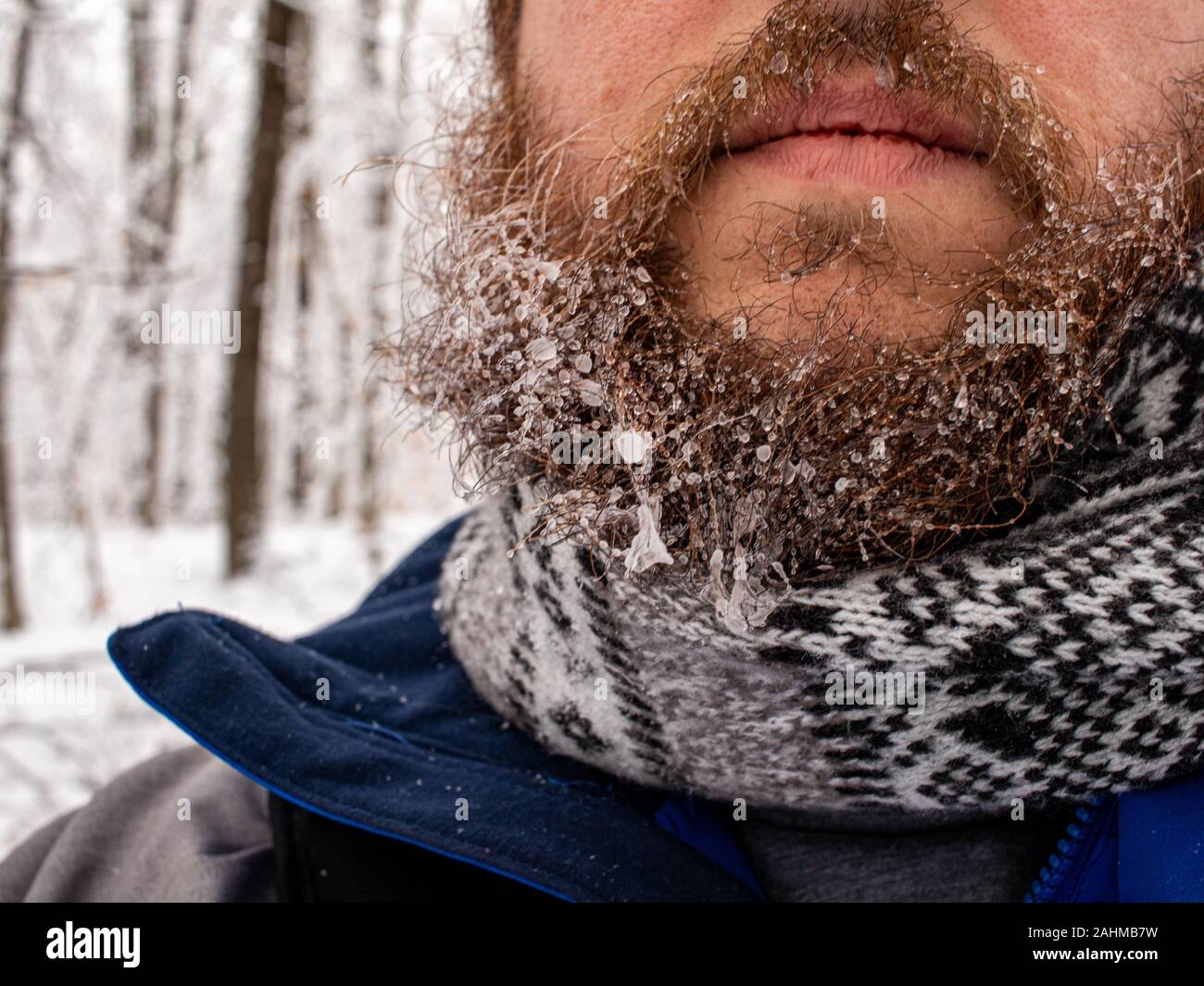 Un homme's beard, vu avec juste la partie inférieure de son visage, est couverte en bits de la glace après avoir passé du temps à l'extérieur dans la forêt enneigée. L'homme porte Banque D'Images