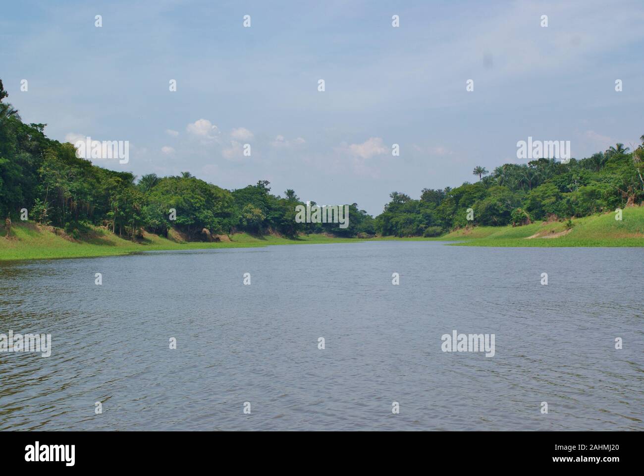 L'Amazonas au Brésil Banque D'Images