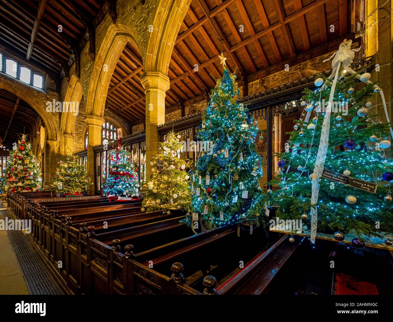 Intérieur de la cathédrale d'Halifax à Noël décoré avec plusieurs arbres de Noël, West Yorkshire, Royaume-Uni. Banque D'Images