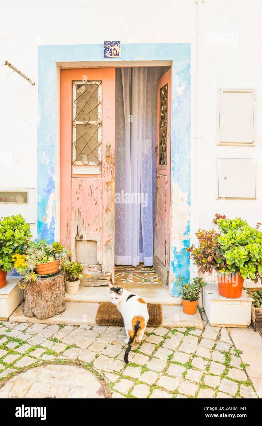 Chambre entrée avec les pots de fleurs et chat dans la partie historique d'albufeira Banque D'Images