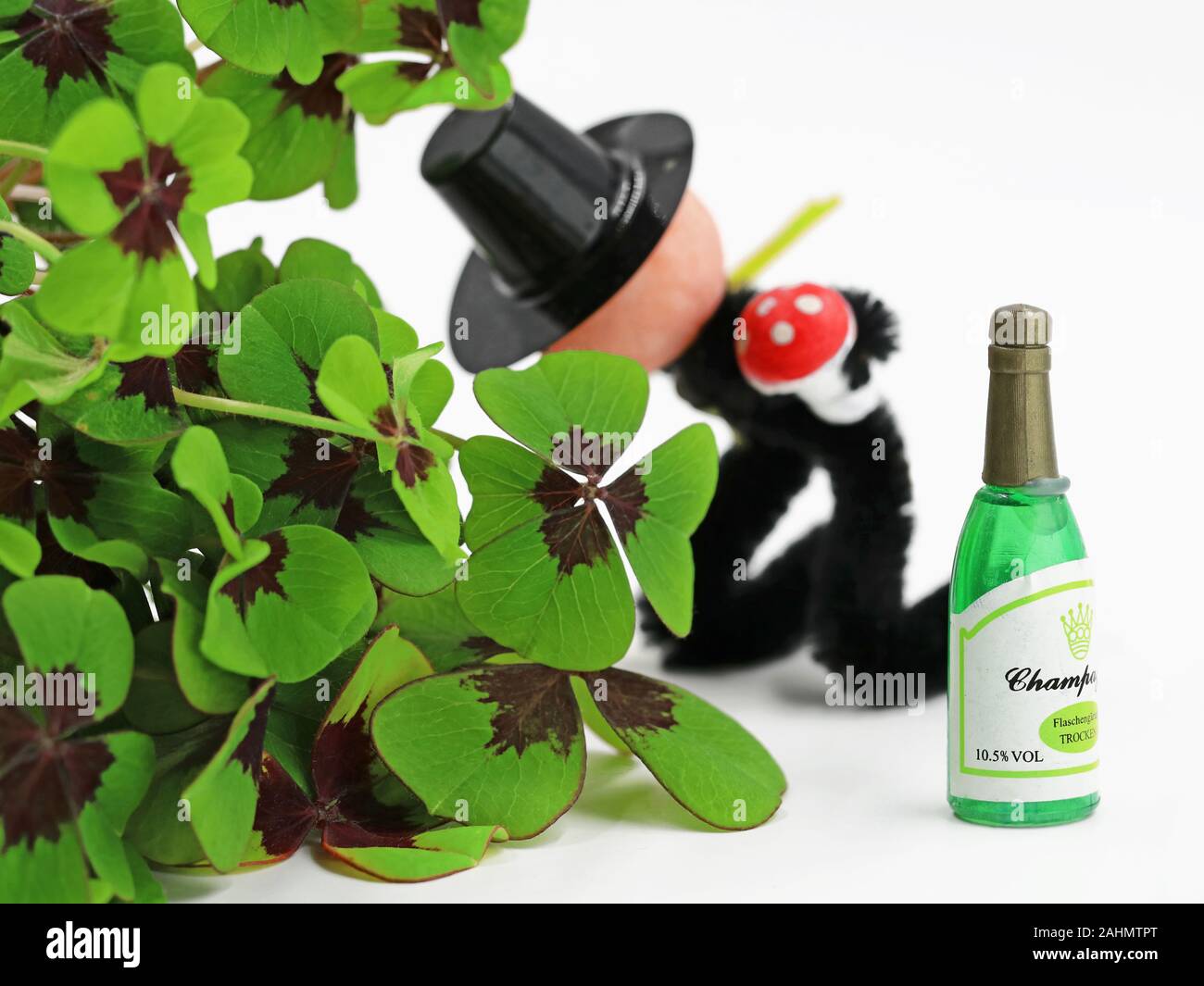 Ramoneur pukes derrière cloverleafs devant une bouteille de champagne, concept de gueule après silvester Banque D'Images