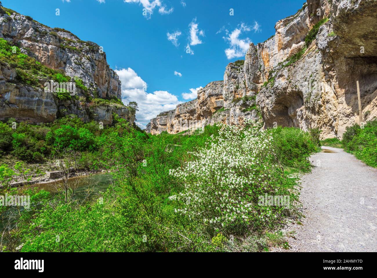 À pied de transmettre le flux de la rivière Irati à Lumbier Canyon, qui fait une partie de la Sierra de Leyre chaîne de montagne dans les Pyrénées de Navarre espagnole Banque D'Images