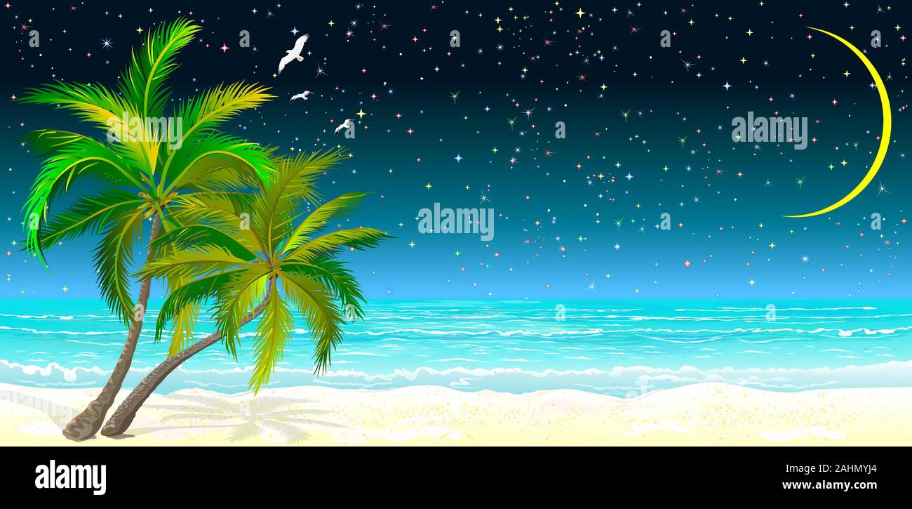 Seascape Tropical. Palmiers sur la plage de sable sur le fond de la mer et la nuit ciel étoilé. Illustration de Vecteur