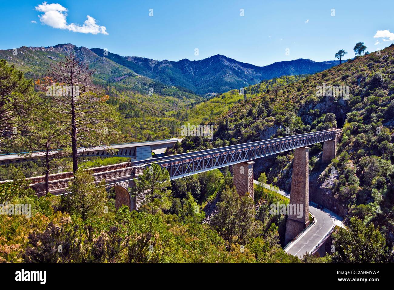 Chemin de fer et des routes d'automobile immergé dans la nature au cœur de la Corse. Des moyens de transport et la rivière Tavignano croix cacher dans les tunnels de montagne couverte de fo Banque D'Images