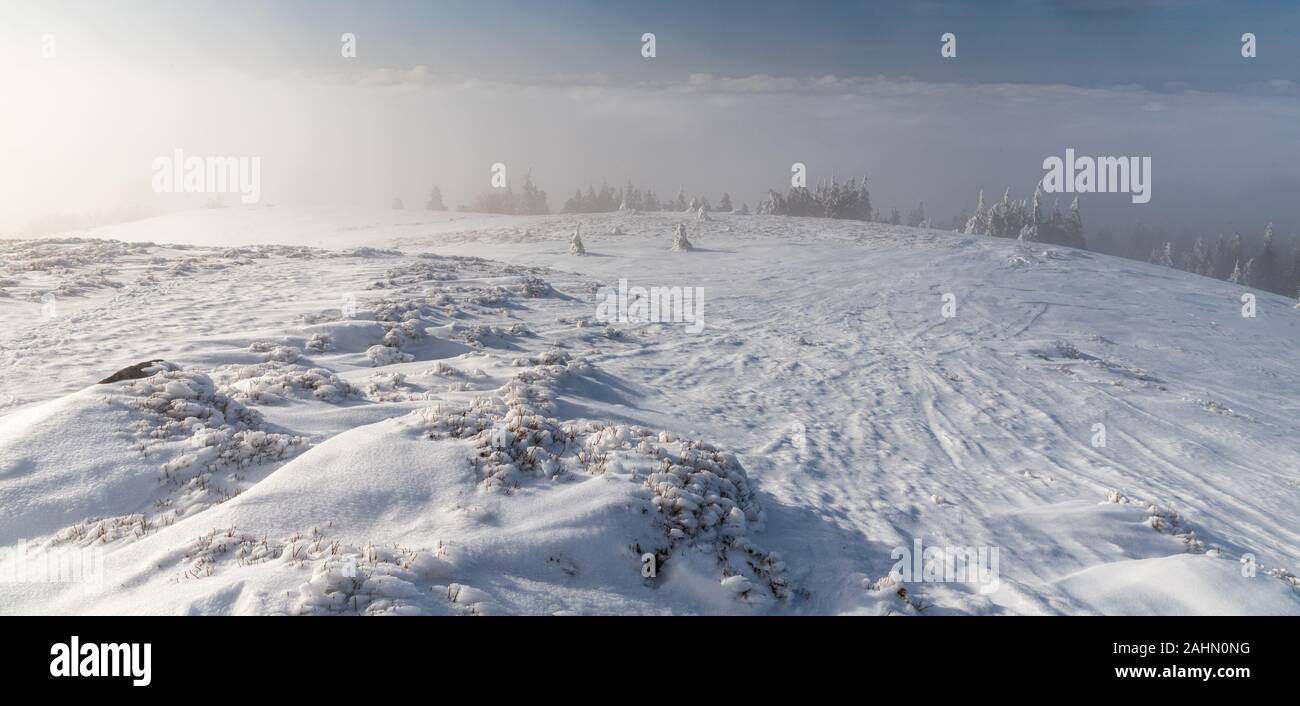 Paysages de montagne d'hiver brumeux couvert de neige avec prairie, arbres plus petits, brume et ciel au-dessus de Skalka Hill dans les montagnes Mala Fatra en Slovaquie Banque D'Images