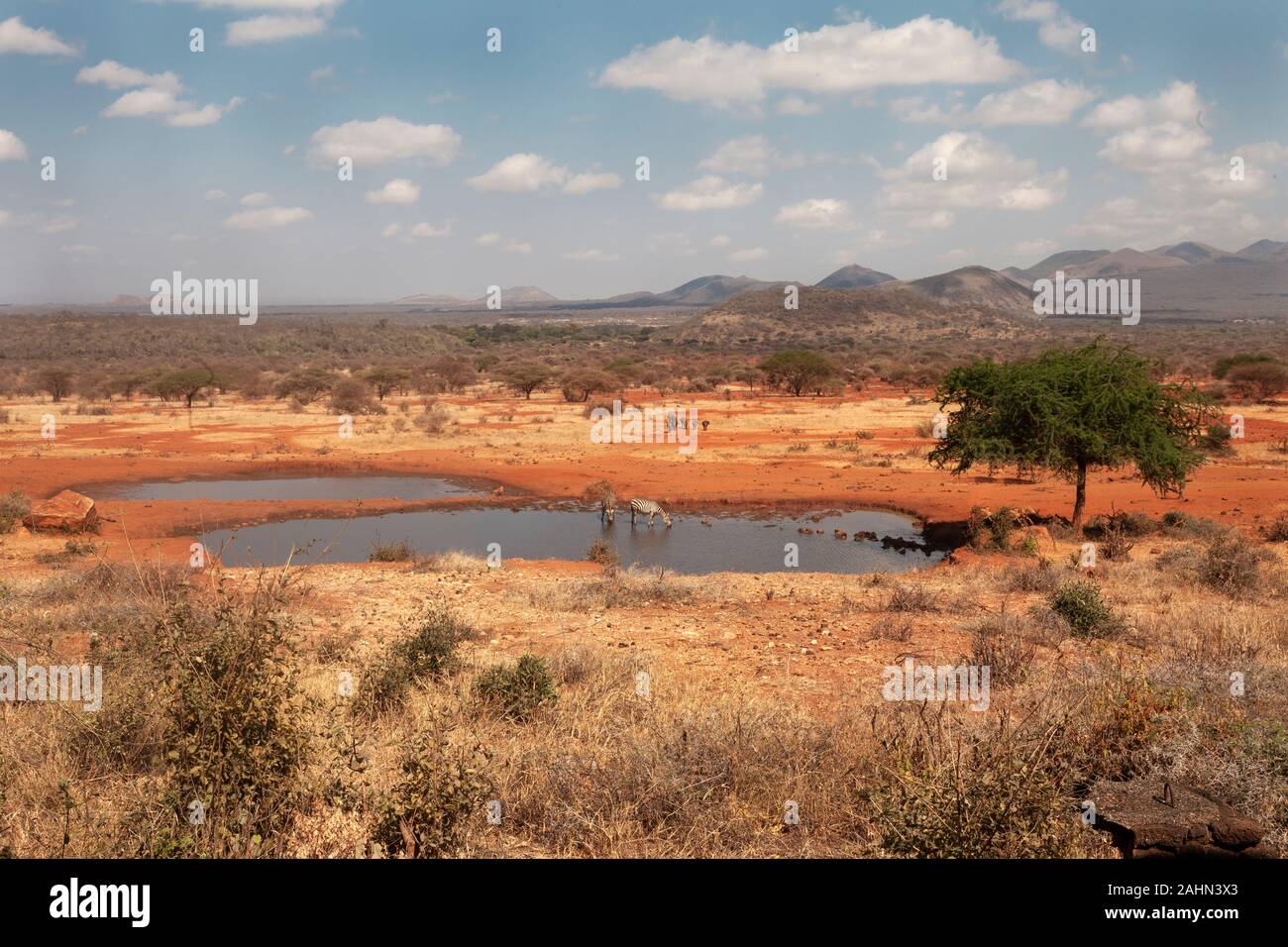 Kilaguni Serena Safari Lodge Kenta Banque D'Images