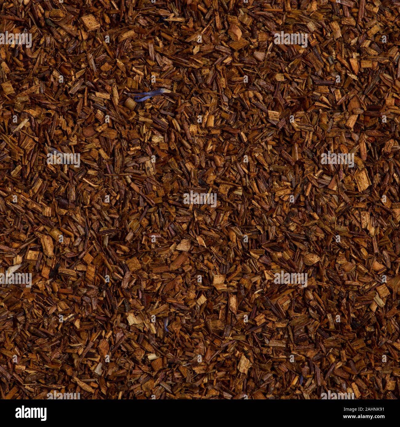 Rooibos tisane Banque D'Images