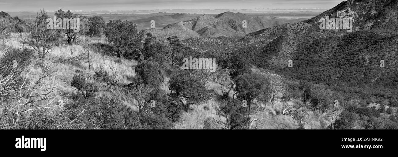 Wilderness Chiricahua Panorama, Arizona Banque D'Images