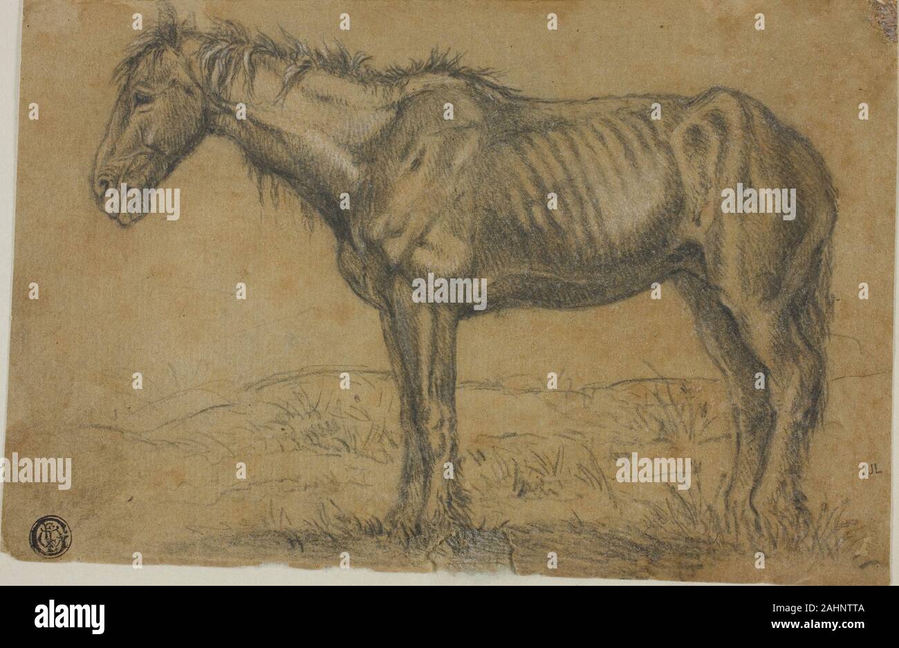 Le Cheval Le Plus Maigre Du Monde Cheval émacié Banque de photographies et d'images à haute résolution - Alamy