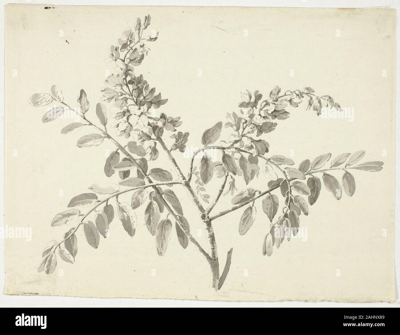 Pierre Antoine Mongin. Le rameau en fleurs. 1781-1824. La France. Brossez et lavez-gris, plus de craie noire, sur papier vergé crème Banque D'Images