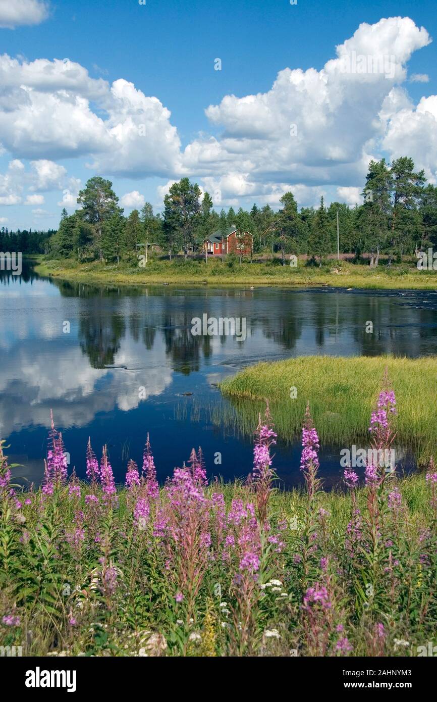 Skandinavien, Finnland, Europa, Laponie, Landschaft im Pallas-Ounas-Tunturi-Nationalpark, Fluss Ounasjoki bei Peltovuoma Banque D'Images