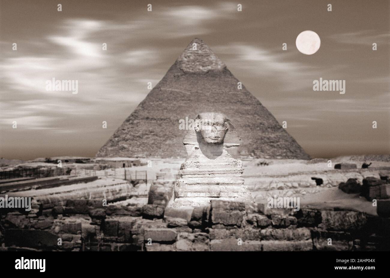 Vue avant du Sphinx dans la lumière de la lune, de l'Égypte. Banque D'Images