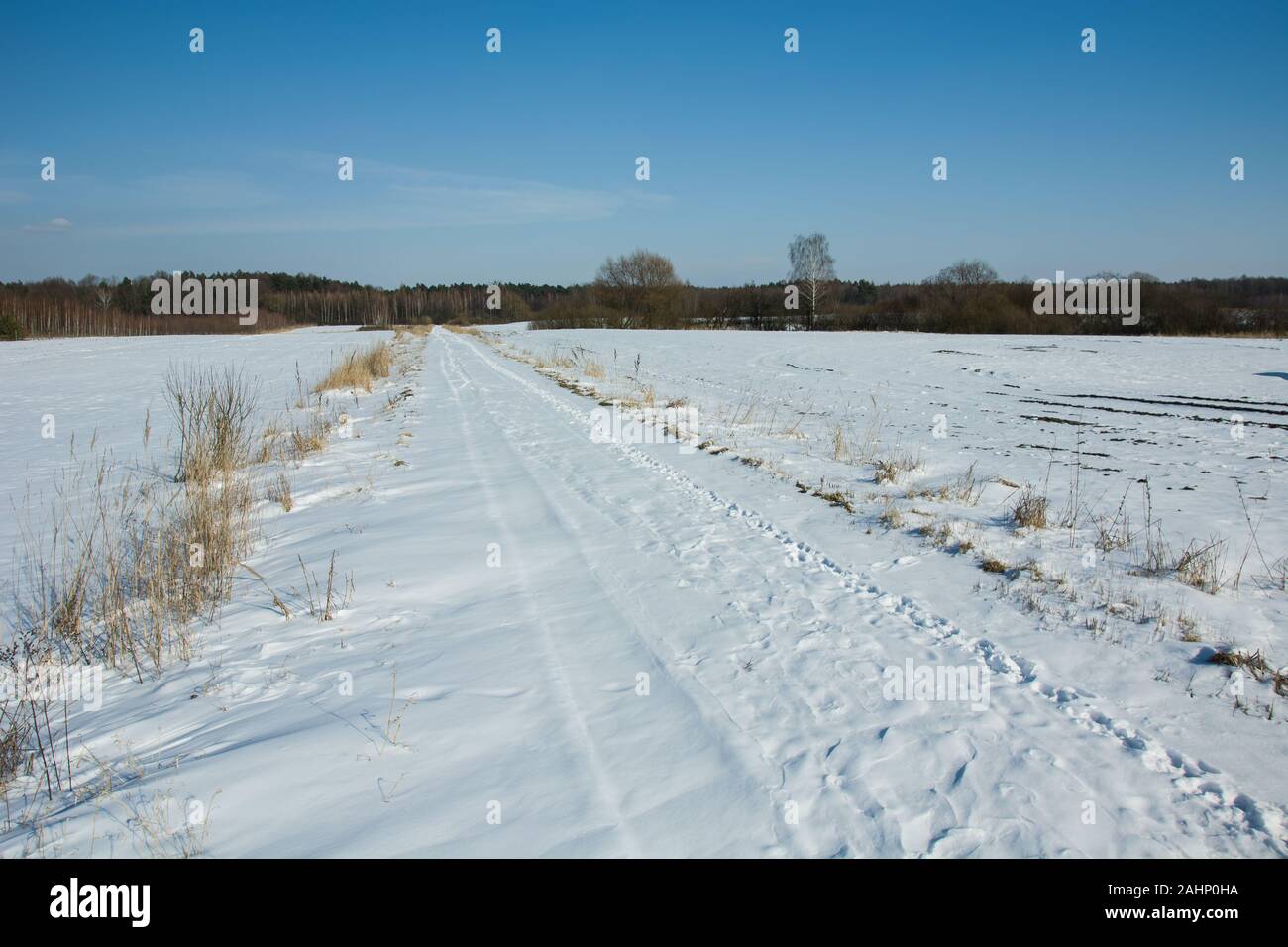 Route de terre couverte de neige, hiver ensoleillé jour Banque D'Images