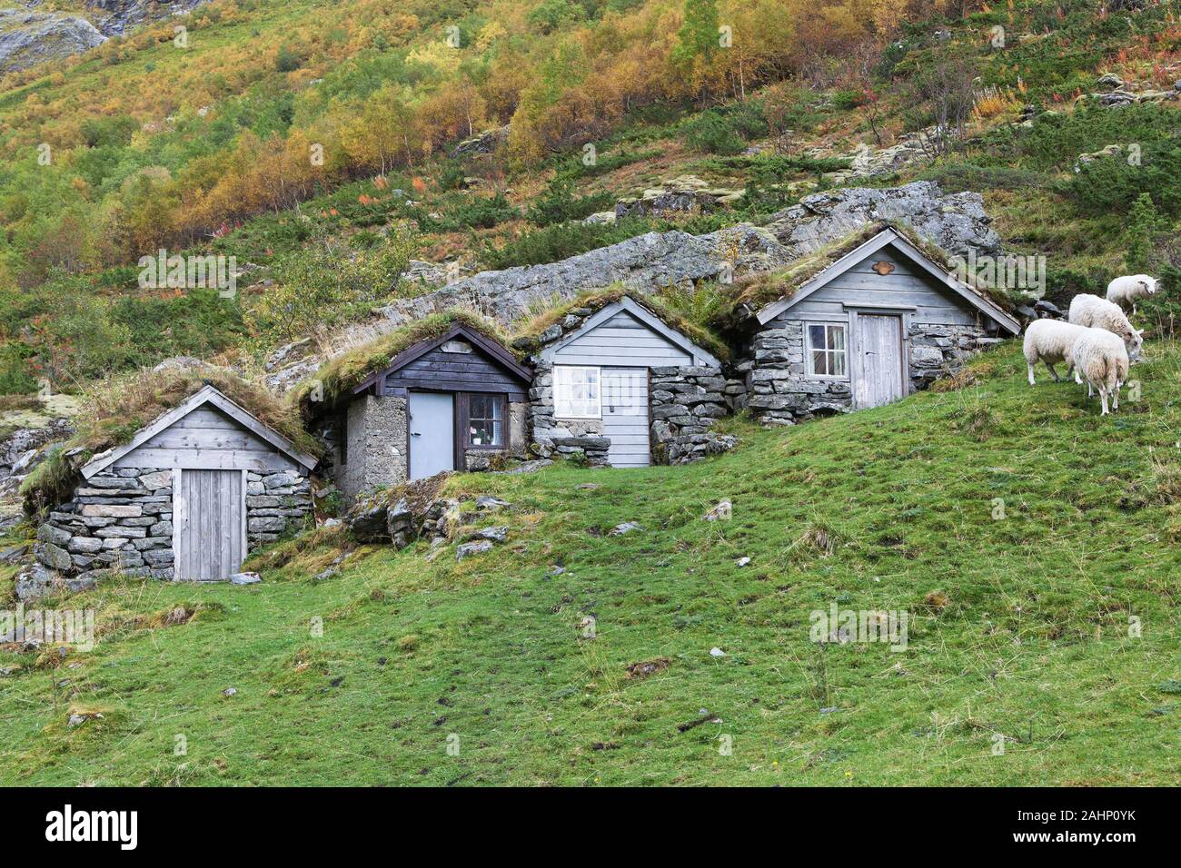 Toit de chaume Huts dans Norangsdalen, More og Romsdal (Norvège). Banque D'Images