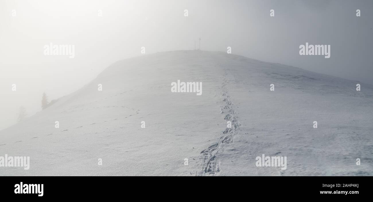 Raquettes marches conduit à Skalka en sommet de colline dans les montagnes Mala Fatra Slovaquie couverts par mist Banque D'Images