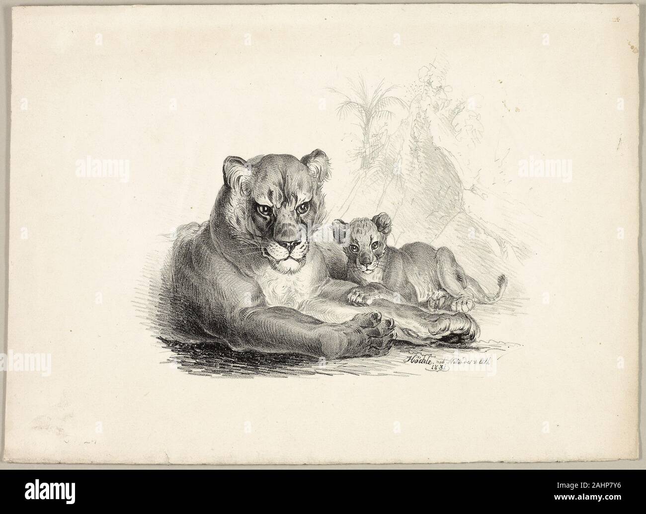 Johann Höchle. Lion avec ses petits. 1831. L'Allemagne. Lithographie sur vélin crème du xixe siècle d'autres artistes européens comme l'imagerie des animaux sauvages trouvés irrésistible que n'Delacroix. Mais pas la puissance brute de velouté de Delacroix et incisée lithographies, cette image d'une lionne et son petit doit être redevable à ses 1831 jeune tigre jouant avec sa mère (1922.4476). Bien que Delacroix a tenté de trouver l'humain dans la physionomie féline, Höchle légèrement l'interprétation caricaturale réussit, même si perdre quelque chose de la grandeur de l'œuvre de Delacroix. Banque D'Images