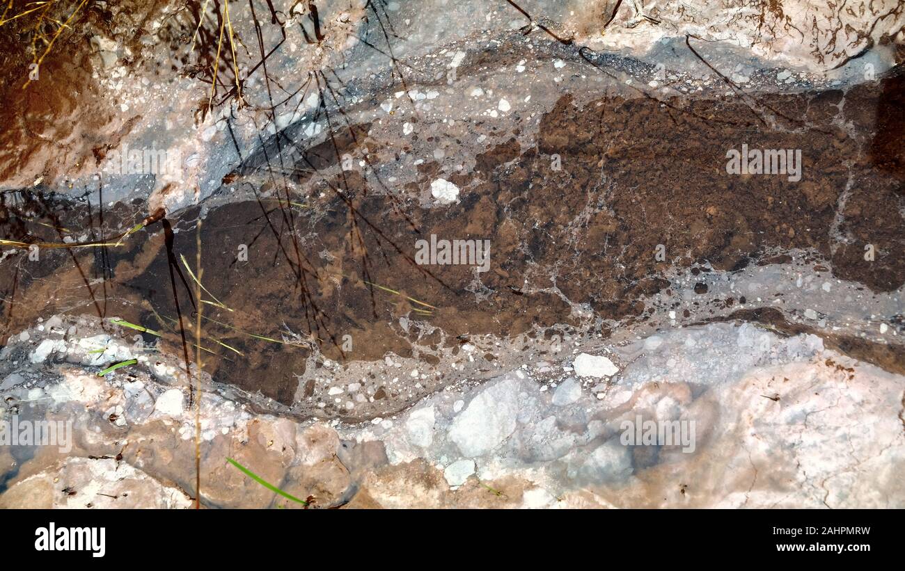 La pollution de l'eau, la déshydratation et la stagnation dans les eaux naturelles. L'impasse du 