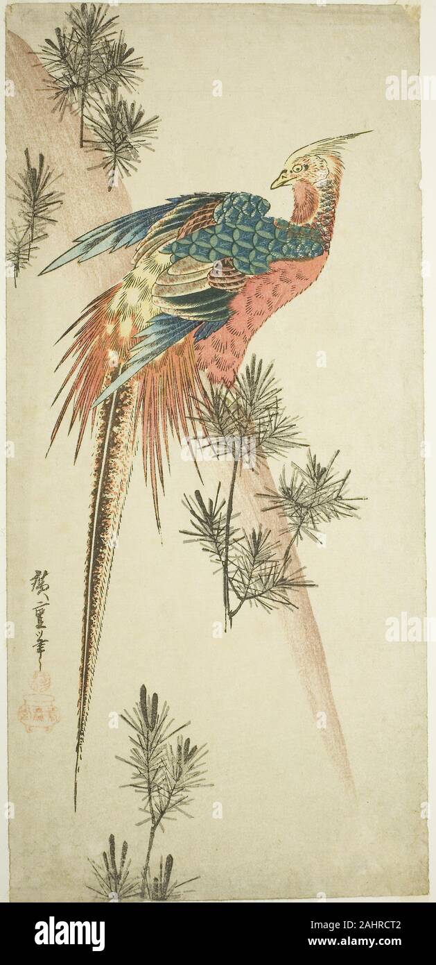 Utagawa Hiroshige. Le faisan doré et pousses de pin dans la neige. 1828-1838. Le Japon. Gravure sur bois en couleur ; otanzaku Banque D'Images