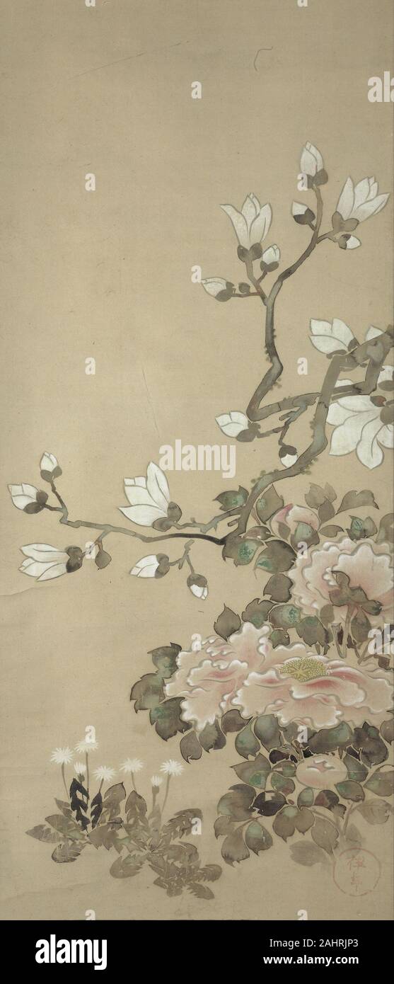 Tawaraya Sôtatsu. Les Pivoines, magnolias, et les pissenlits. Le Japon. Défilement pendaison ; l'encre et couleurs sur papier Banque D'Images