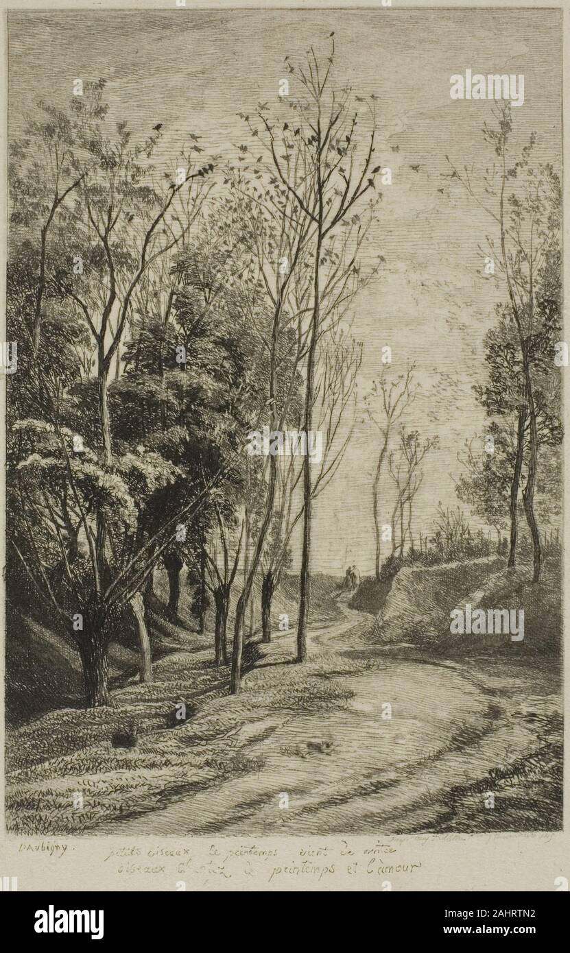 Charles François Daubigny. Les petits oiseaux. 1850. La France. Gravure sur papier Japon d'ivoire Banque D'Images