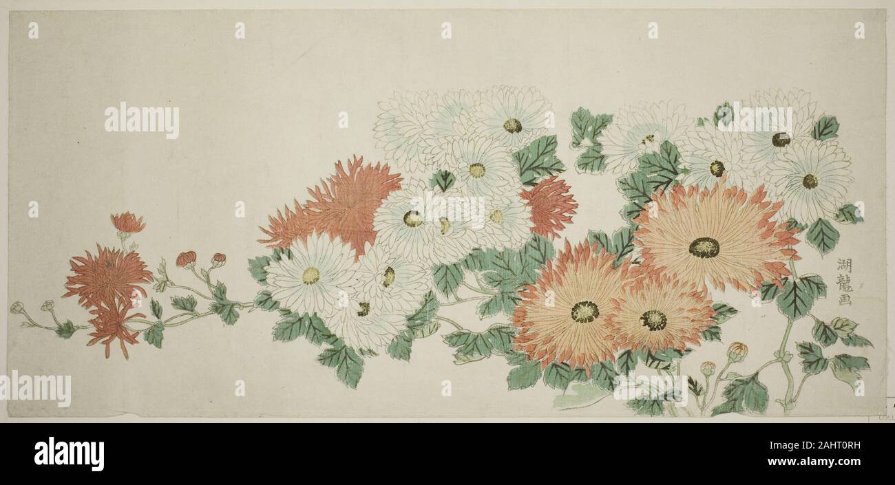 Isoda Koryusai. Chrysanthèmes. 1775-1785. Le Japon. Gravure sur bois en couleur ; nagaban surimono Banque D'Images