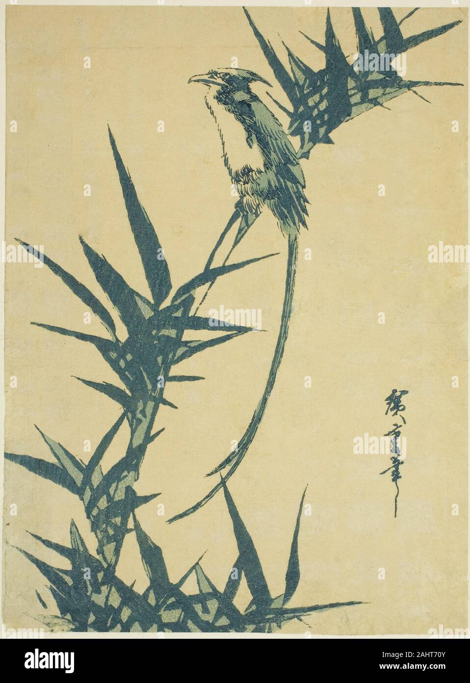 Utagawa Hiroshige. Des oiseaux à longue queue et le bambou. Le Japon. Estampe chuban couleur ; Banque D'Images