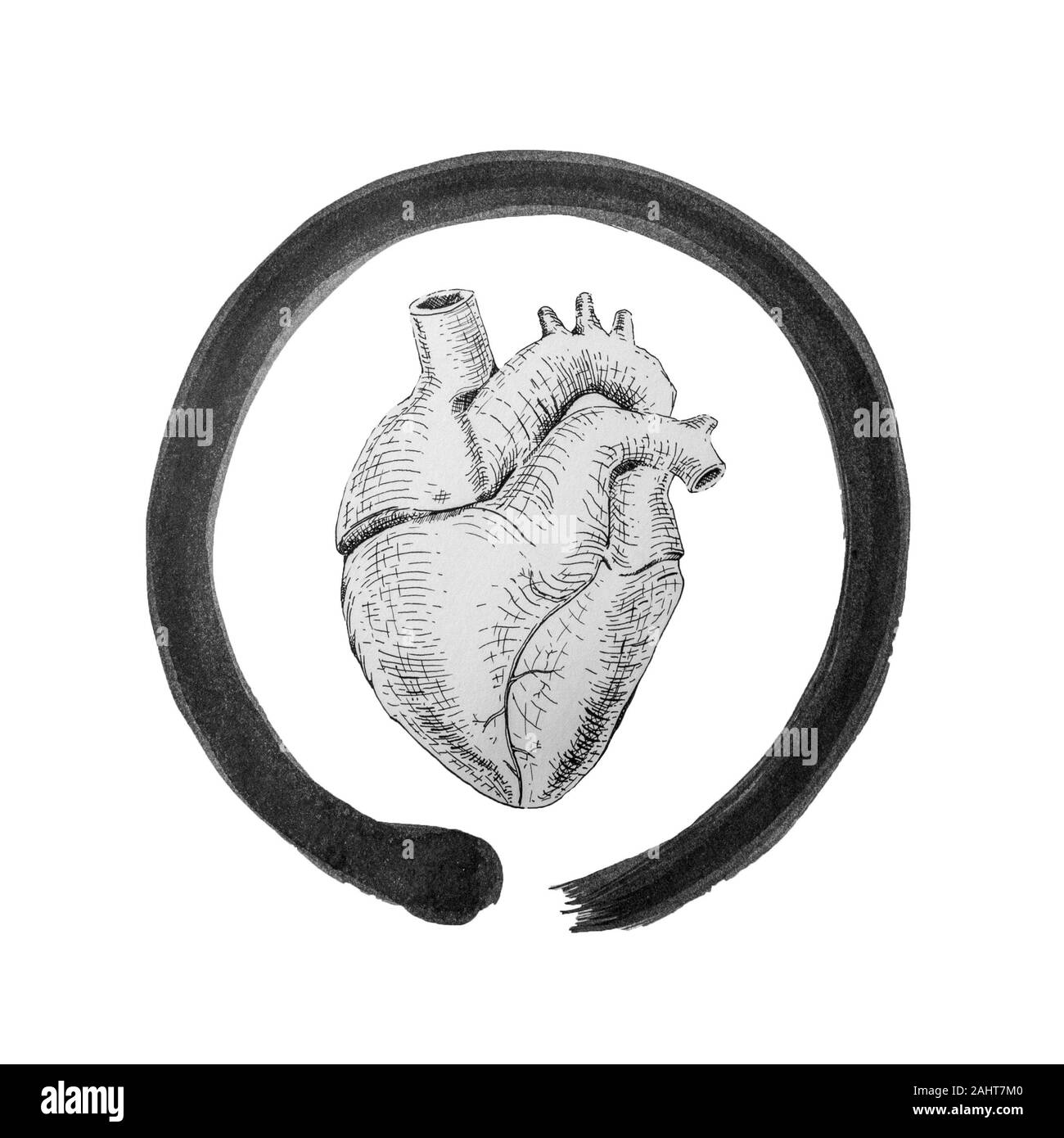 Coeur dans le cercle de l'Enso. Concept et symbole de vie. Banque D'Images