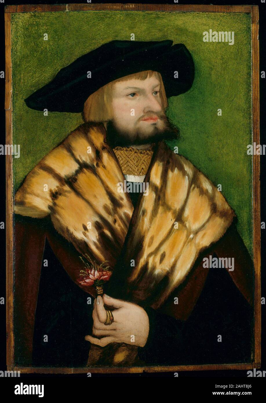 Leonhart Fuchs. Portrait de Leonhard Fuchs. 1525. L'Allemagne. Huile sur panneau Banque D'Images