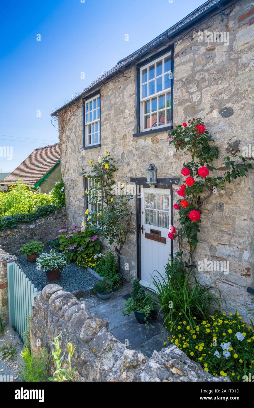 Roses colorés grandissent le mur de Mill Pond Cottage dans l'anse de Lulworth Dorset sur la côte jurassique du patrimoine canadien, England, UK Banque D'Images