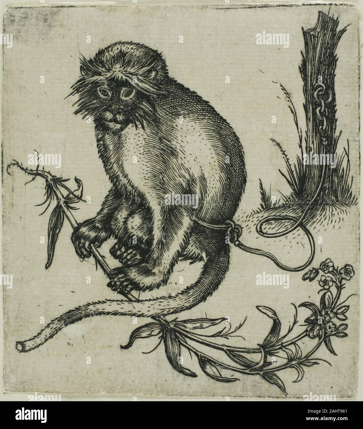 Franz Brun. Un singe enchaîné. 1579-1596. L'Allemagne. Gravure en noir sur papier vergé ivoire Franz Brun est inversée, extrait de droit de l'animal singe d'Albrecht Dürer's Madonna avec le singe diffère de l'original de plusieurs façons. Le singe est intégré à un moignon abrégée plutôt que d'une clôture, et il saisit une plante déracinée entre ses pattes. Comme le Souvent imitée de Dürer, la copie d'origine Brun beaucoup voyagé. Une impression a été collé dans une même fin du 16e siècle livre moghol connu sous le nom de Jahangir ou Album Berlin (maintenant dans la Staatsbibliothek de Berlin), qui est riche en ca Banque D'Images