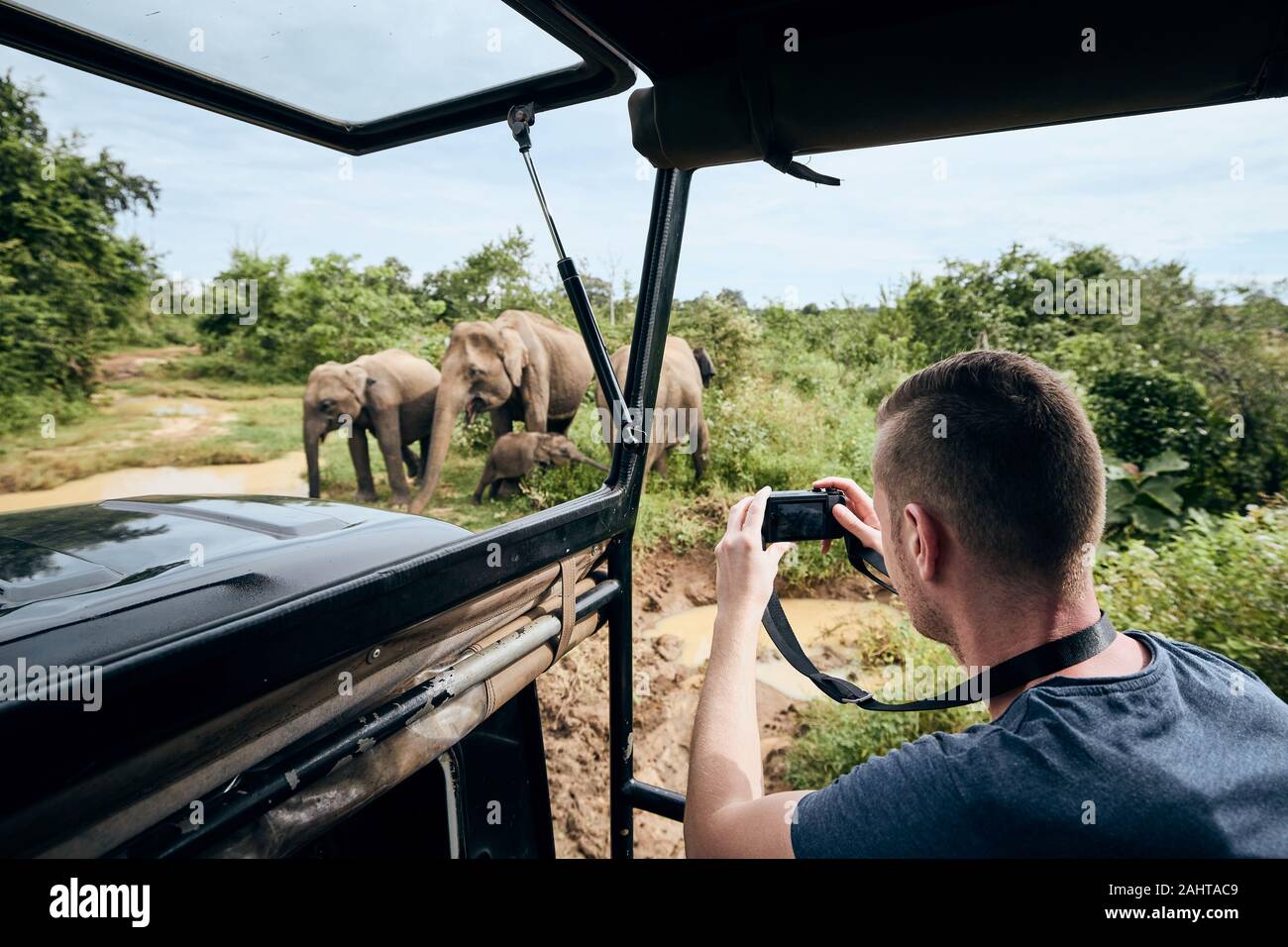 Photographie de groupe d'éléphants. Jeune homme sur safari voyage en voiture tout-terrain au Sri Lanka. Banque D'Images