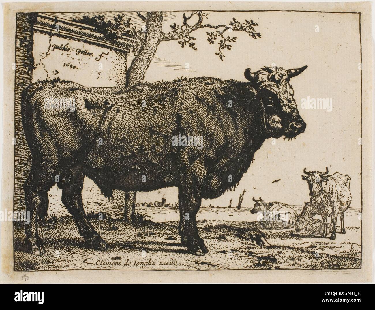 Paulus Potter. Le Bull. 1650. La Hollande. Gravure sur papier vergé crème Paulus Potter était le principal artiste peintre de la République néerlandaise. Ses peintures et estampes d'monumentalized les taureaux destinés à la cour, en particulier les clients sophistiqués incarnent les bêtes des terres agricoles néerlandais. Son style légèrement caricaturé trahi un portait à la terre et à l'occasion d'esprit, qu'il a parfois utilisé pour l'allégorie politique. Par sa mort prématurée à l'âge de 29 qu'il avait créé son propre créneau d'animal portraits, chef de file pour les 18e siècle des artistes comme George Stubbs, qui serait littéralement la peinture de portraits prisés vivre Banque D'Images