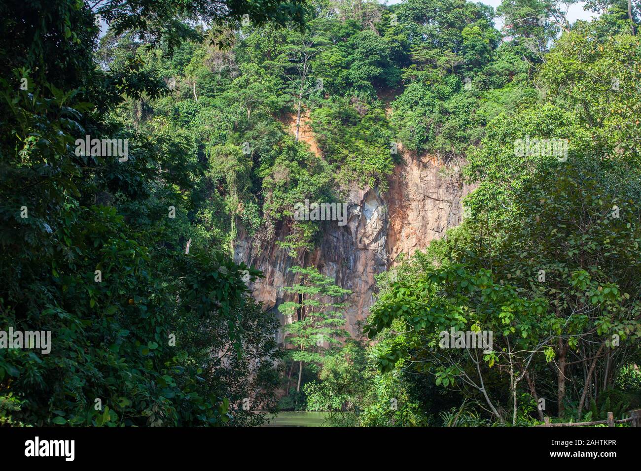 Vue sur la carrière et les arbres verdoyants au parc naturel bukit batok, Singapour Banque D'Images