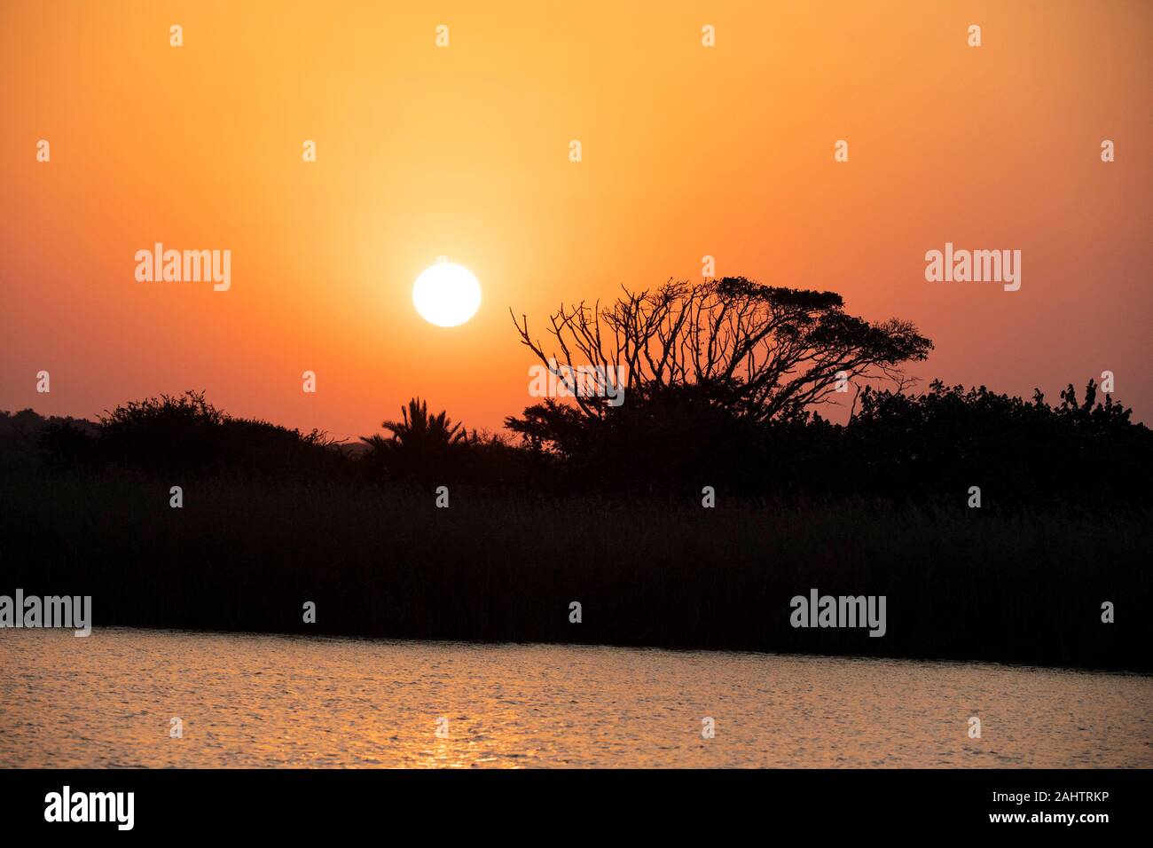 Coucher de soleil sur le lac St Lucia, parc iSimangaliso Wetland Park, Afrique du Sud Banque D'Images