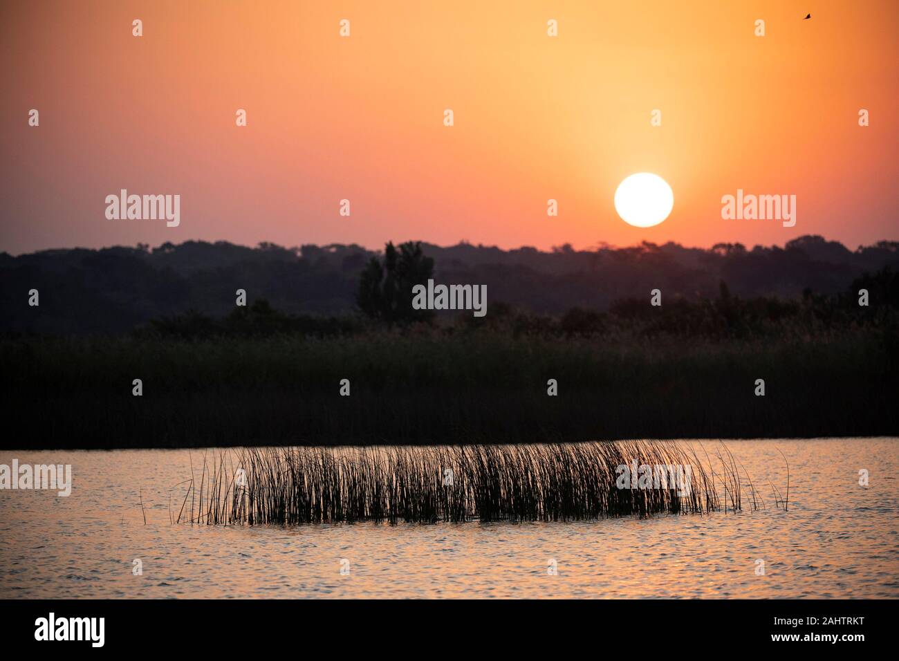 Coucher de soleil sur le lac St Lucia, parc iSimangaliso Wetland Park, Afrique du Sud Banque D'Images