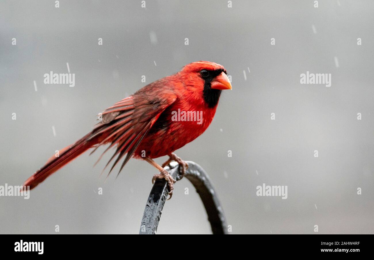 En haut Banque D'Images