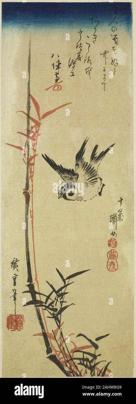 Utagawa Hiroshige. Sparrow et bambou. 1833-1837. Le Japon. Gravure sur bois en couleur ; chutanzaku Banque D'Images