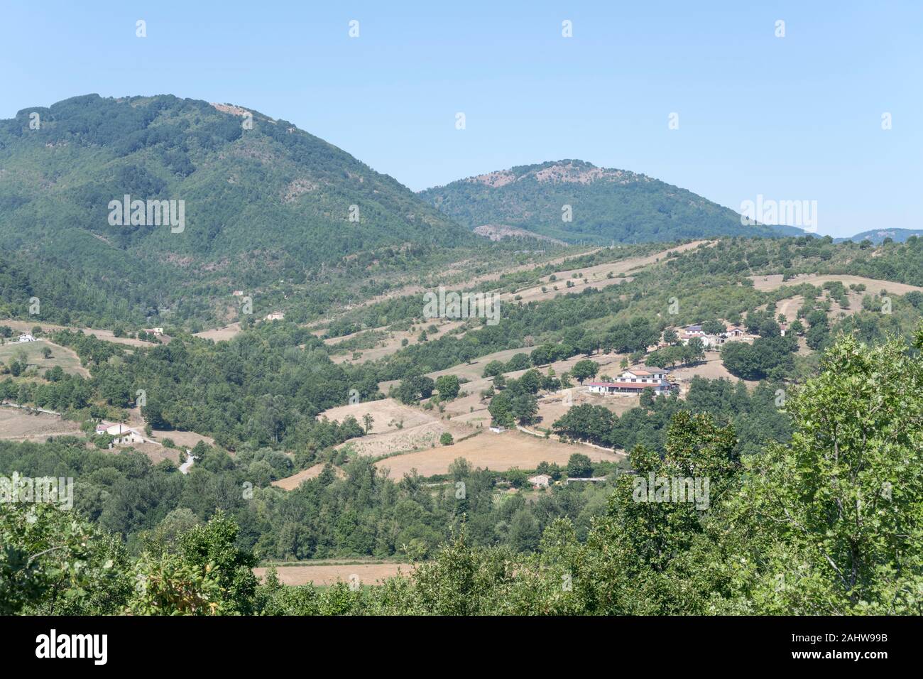 Paysage vallonné du Sud de l'Apennin avec des bois et des champs, tourné en été lumineux lumière près de Moliterno, vallée de l'Agroalimentaire, Potenza, Basilicate, Italie Banque D'Images
