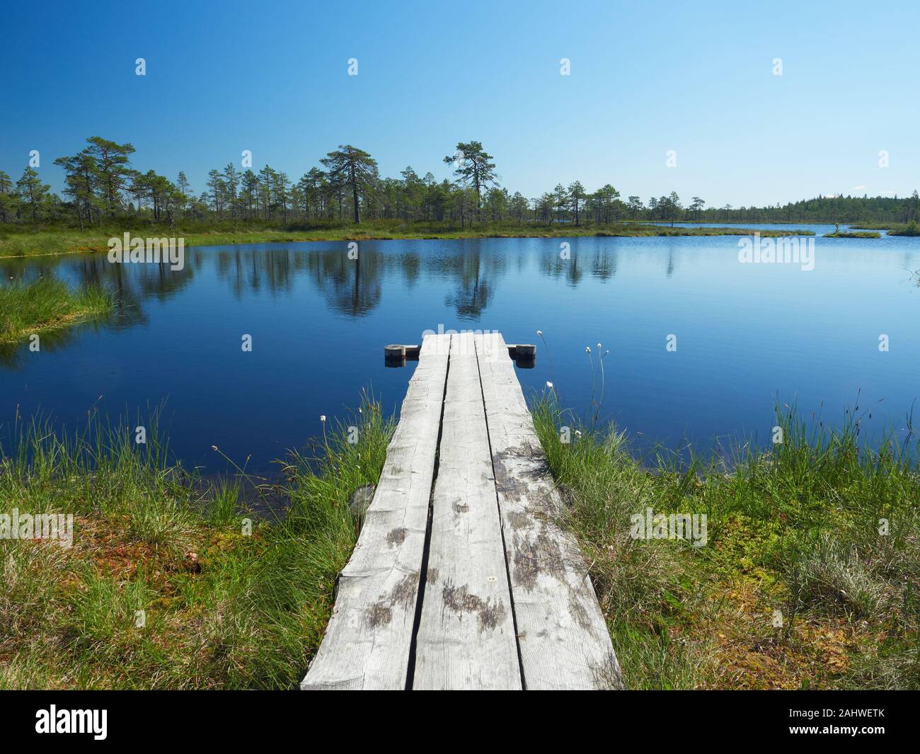 Petit lac sur une chaude journée d'été. Paysage du nord du parc national de Kauhaneva-Pohjankangas en Finlande. Banque D'Images