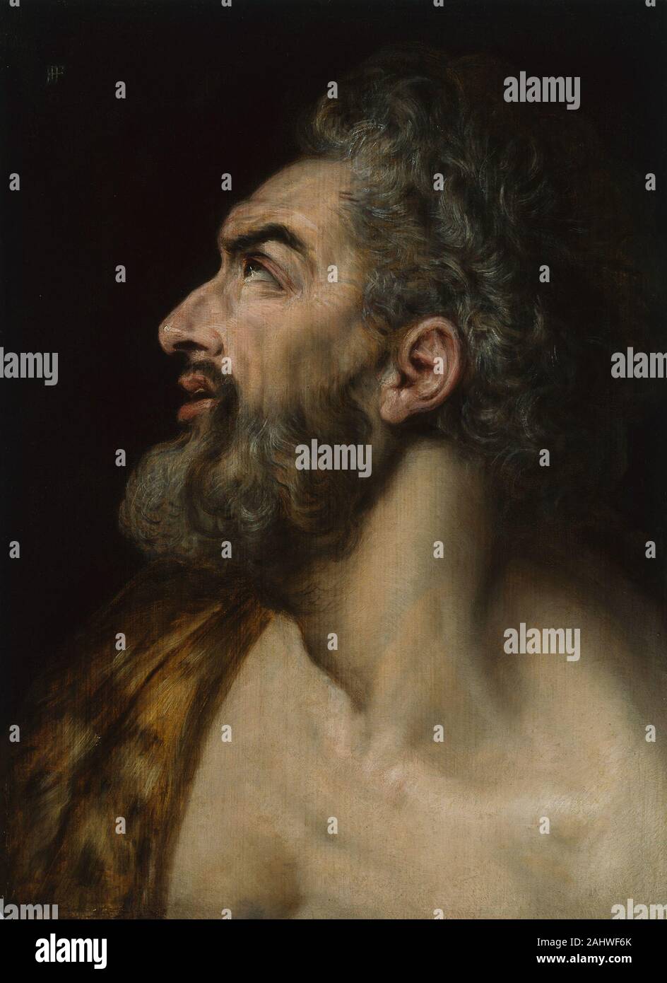 Frans Floris, I. Étude d'une tête d'Homme barbu 1550-1580. La Flandre. Huile sur panneau diriger grand atelier qui a produit peintures religieuses et mythologiques à Anvers, Frans Floris de pionnier dans l'utilisation des études de tête comme celui-ci pour faire de l'expression et de mouvement pour les compositions de dessins complexes. Peter Paul Rubens, Rembrandt, et d'autres peintres de sujets historiques au 17ème siècle a continué cette pratique. Alors que les grandes œuvres finies de Floris's shop probablement impliqué la participation d'assistants, chef des études ont été exécutés par le maître lui-même. Cette étude, qui peut représenter sa Banque D'Images