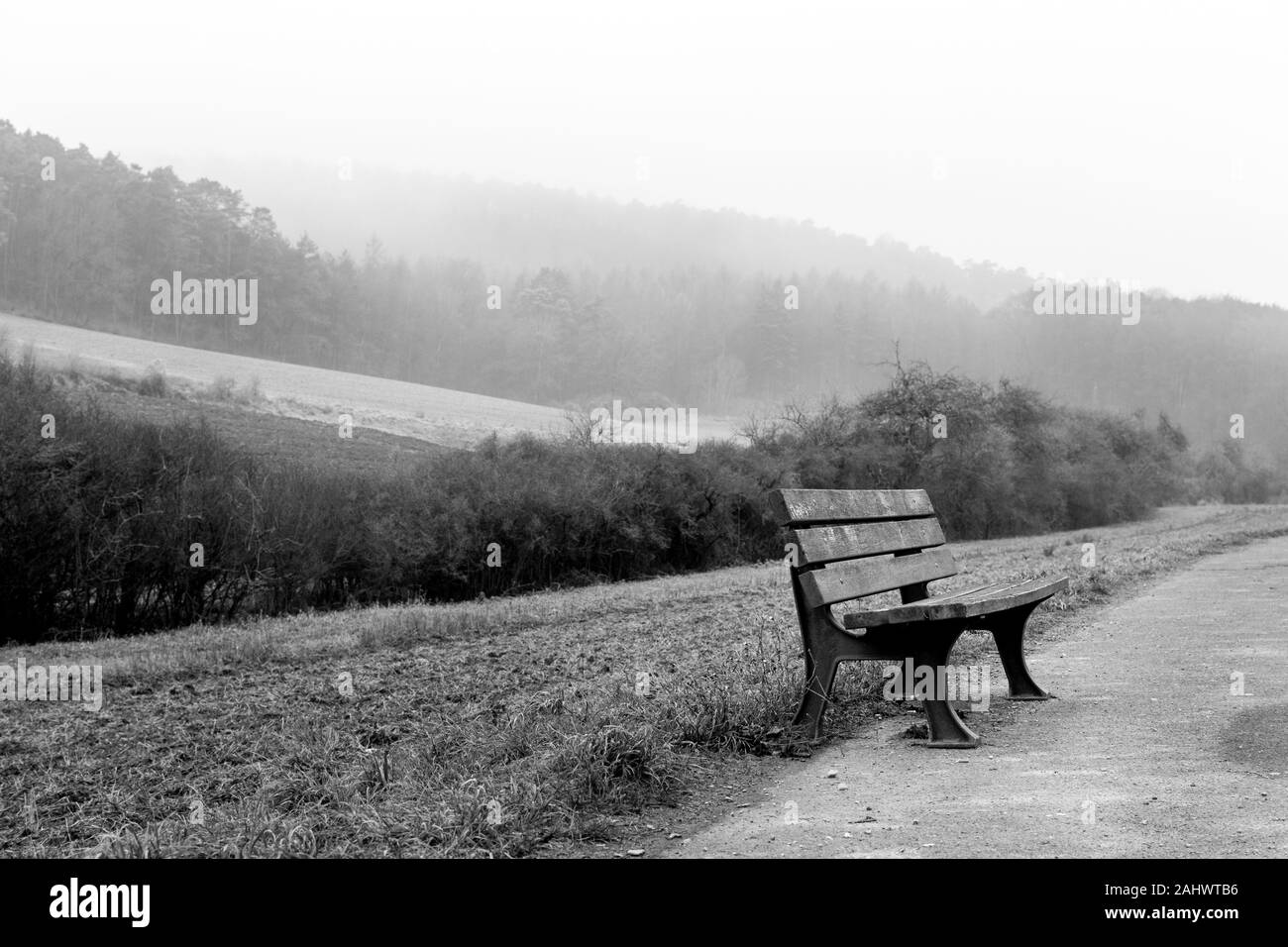 Vieux banc en un jour brumeux avec la forêt en arrière-plan Banque D'Images