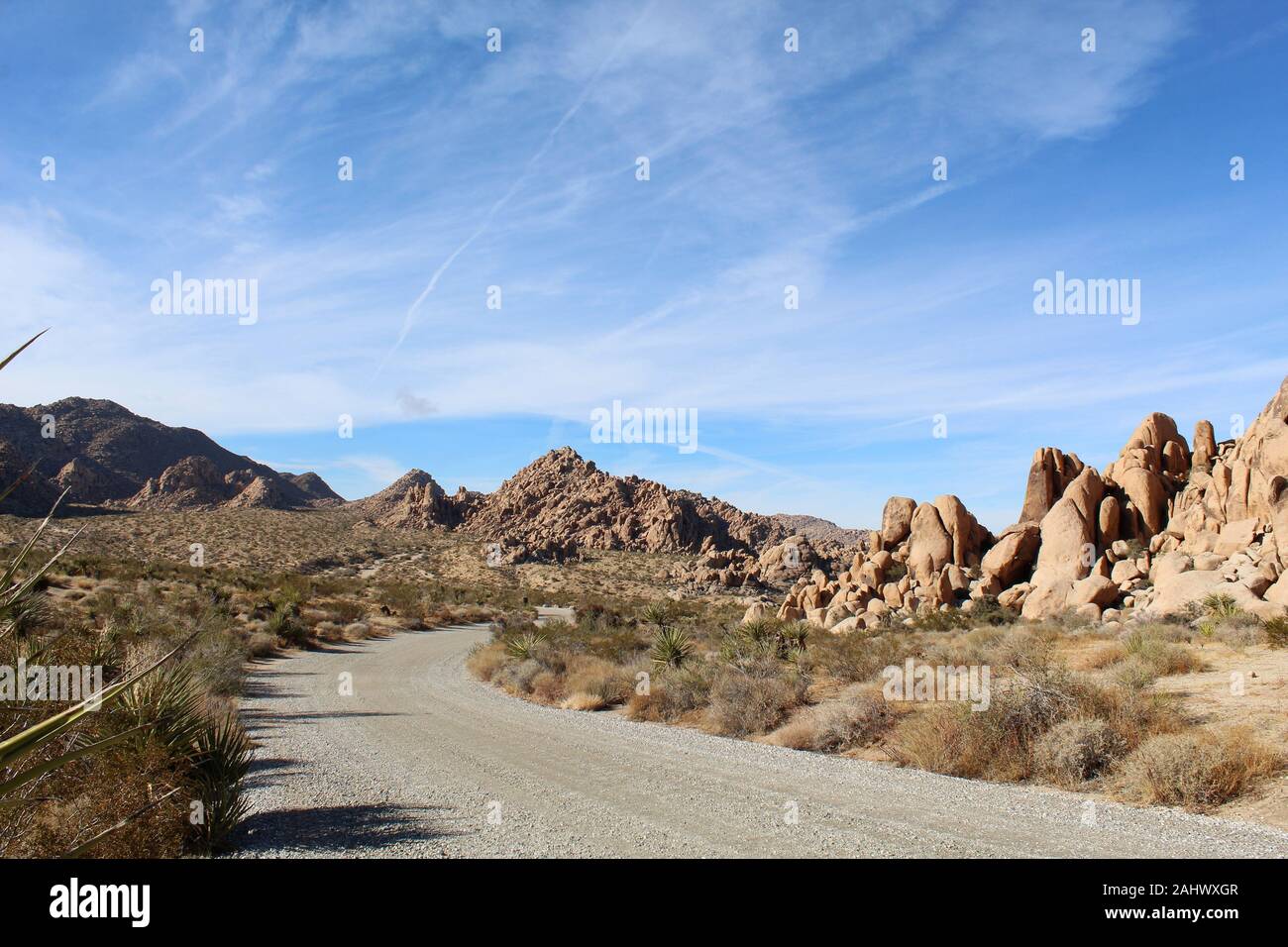 Cette route, par l'intermédiaire d'Affaires indiennes Cove de Joshua Tree National Park, est flanquée par les communautés végétales indigènes du sud du désert de Mojave. Banque D'Images