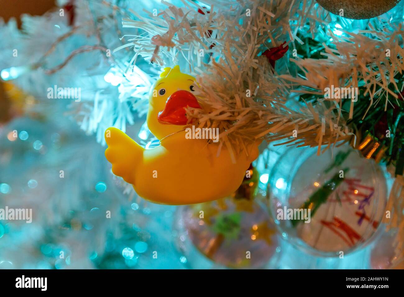 Un mignon petit canard en caoutchouc jaune est utilisé comme une alternative décoration d'arbre de Noël. Banque D'Images