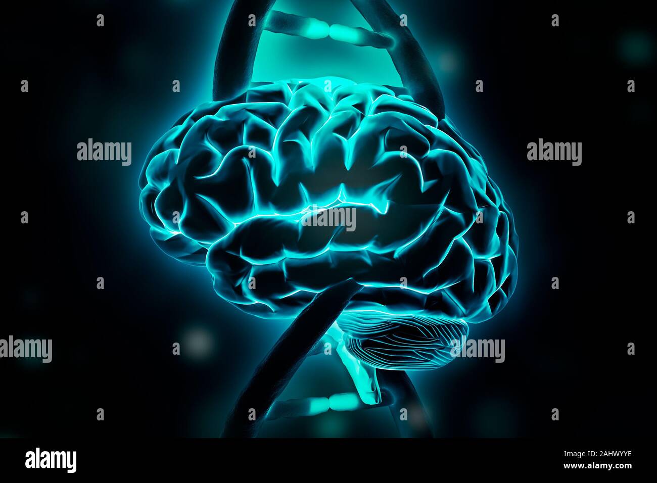Cerveau et brins en double hélice de l'ADN rendu 3d illustration. L'intelligence, génome, génétique, la cognition, la mémoire, la psychologie, neuroscience concepts. Banque D'Images