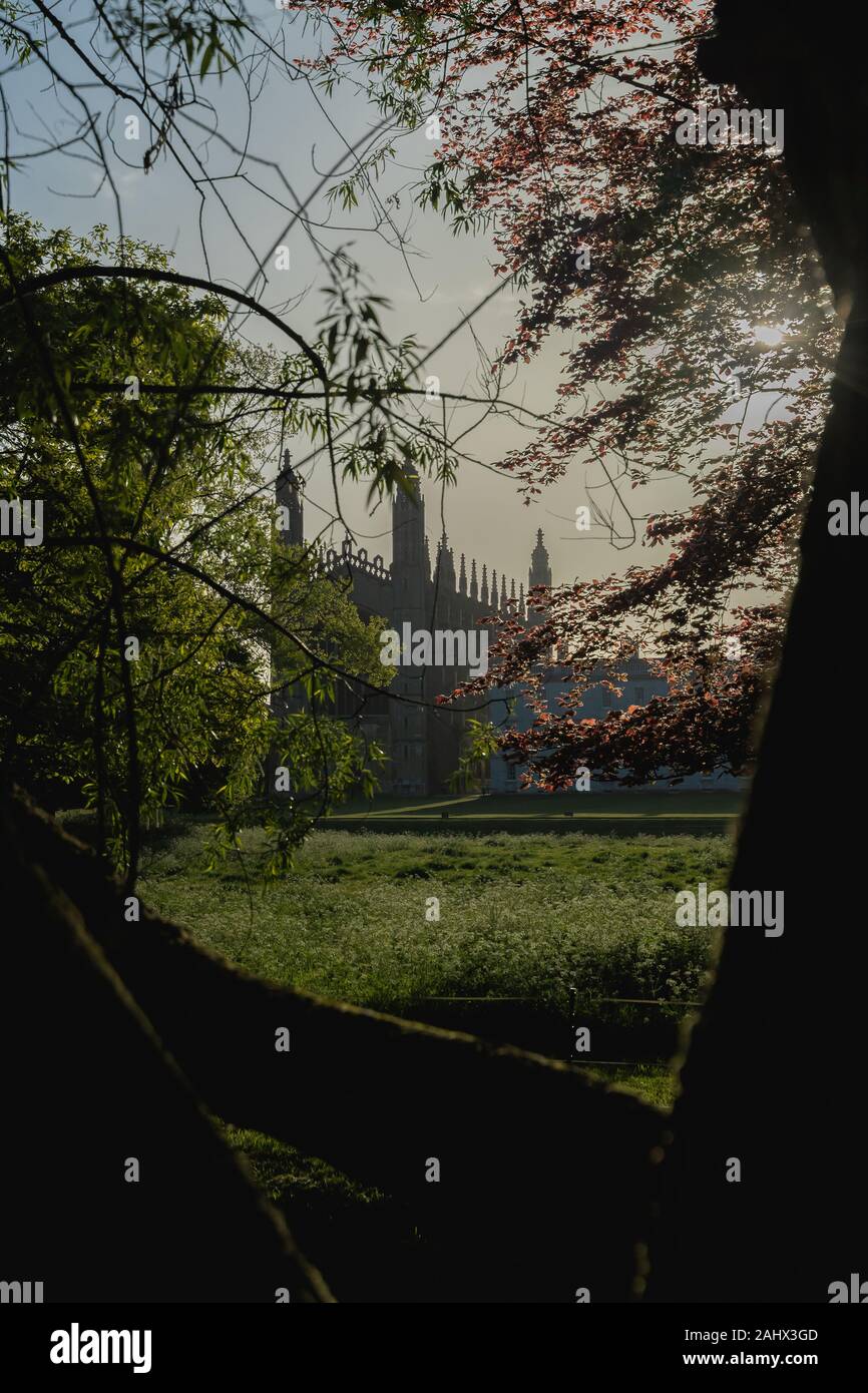 Une vue de Kings College de Cambridge de l'Université le dos sur un matin de printemps ensoleillé Banque D'Images