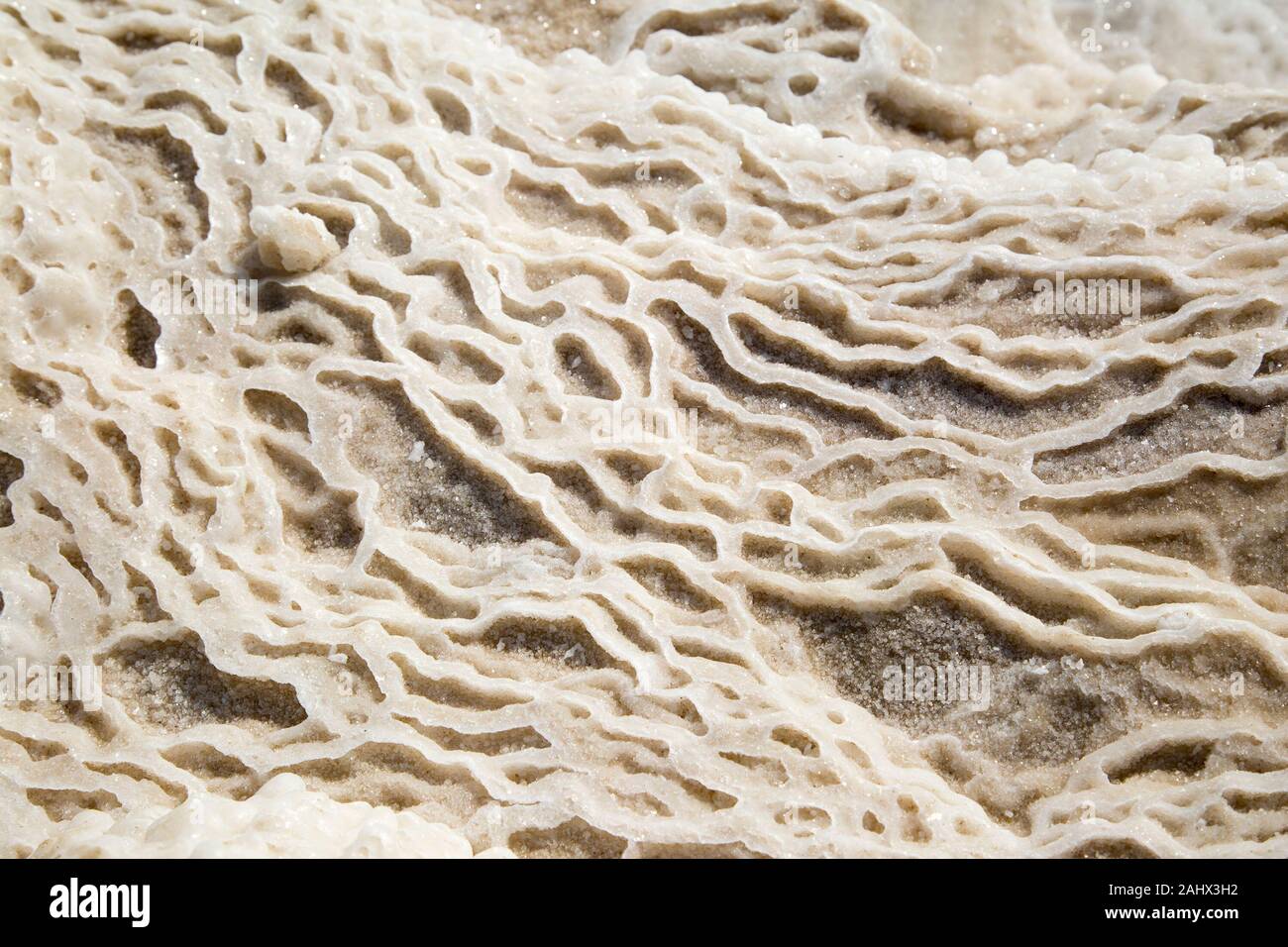 Les formations salines où l'eau fraîche s'écoule dans la mer Morte sont exposées au fur et à mesure que les niveaux d'eau chutées. La mer a la plus basse altitude sur terre. Banque D'Images