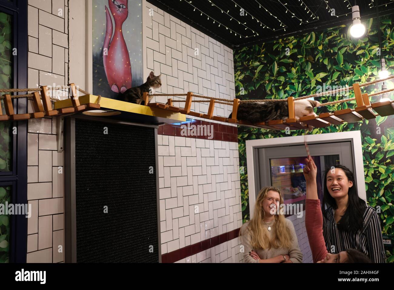 Trois filles s'amusent avec des chats dans LE CAFÉ KITTY de Birmingham. Endroit où les visiteurs du café peuvent jouer et interagir avec les chats. Banque D'Images